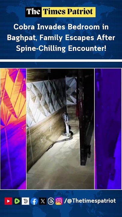 Cobra Invades Bedroom in Baghpat, Family Escapes After Spine-Chilling Encounter!