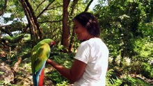 Os animais mais fofos do mundo N•73