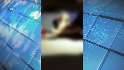 Cão permanece ao lado do dono após atropelamento fatal em Apucarana