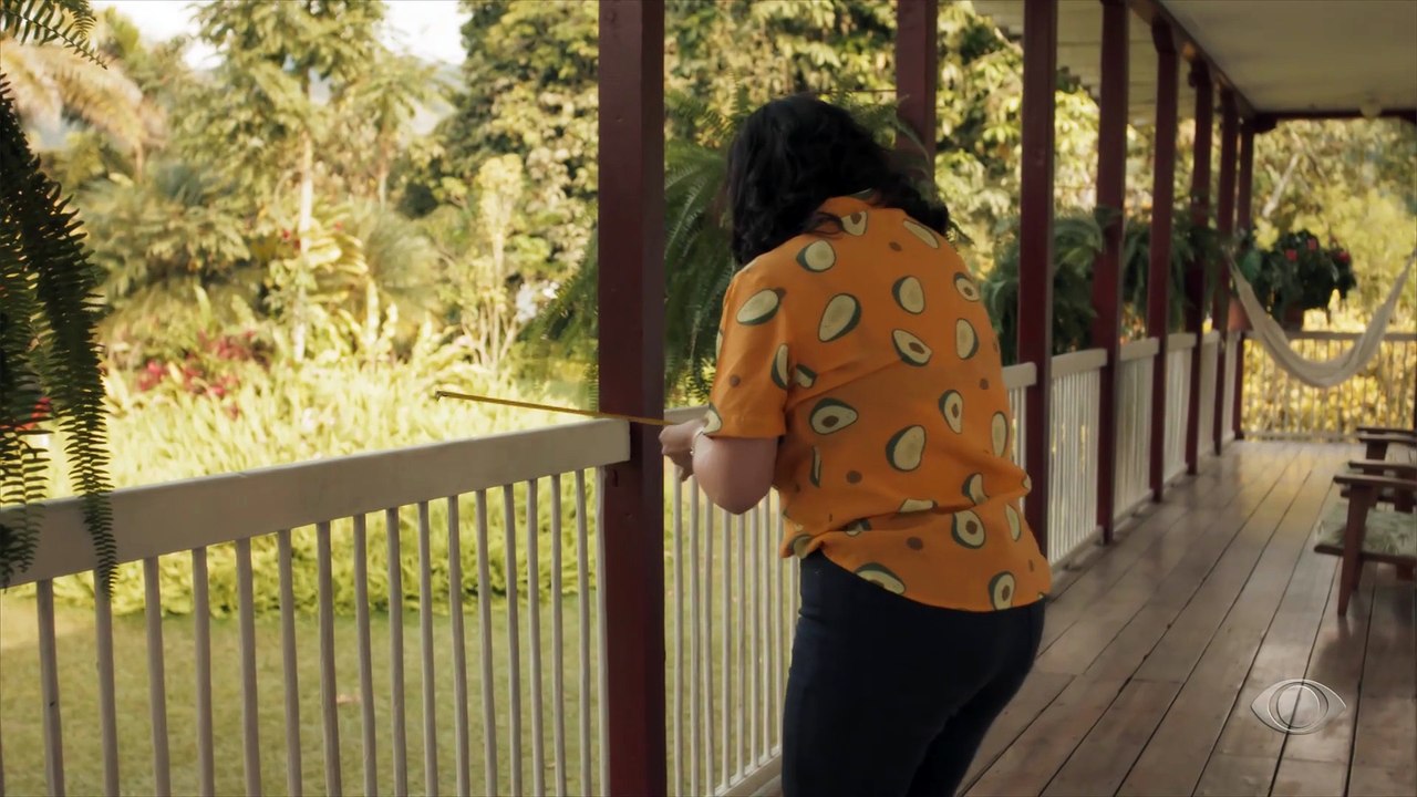 Gaivota e Carmela embarcam para Bogotá com Leônidas, enquanto Lemarcus vai atrás de Marcela, e Margarida se despede de Aurélio