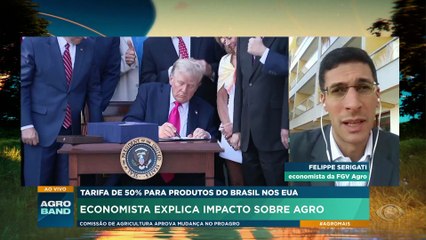 Tarifas dos EUA ao Brasil: "Principal estratégia é não retaliar", diz economista