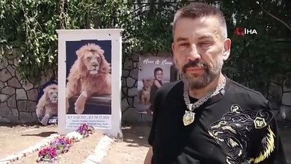 Antalya'da bir çiftçiye saldırdıktan sonra öldürülen aslan Zeus'un hatırasını böyle yaşatacak