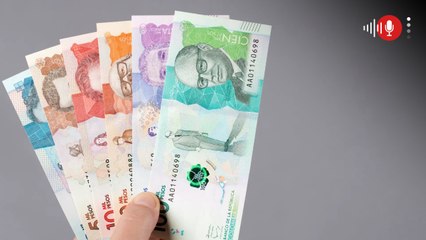 ¿De cuánto es el auxilio de conectividad en Colombia y en qué trabajos puede acceder?