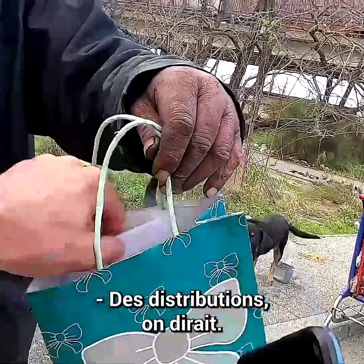 Des chiots viennent en aide à des SDF...🥰