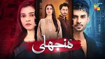 Manjhli - Episode 29 Promo - 11 July 2025 At 07 PM Only On HUM TV