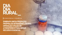 Embrapa inicia produção própria de nitrogênio líquido: operação utiliza ar atmosférico para gerar recurso essencial