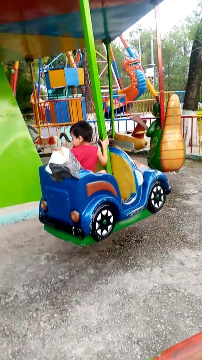 Car swing