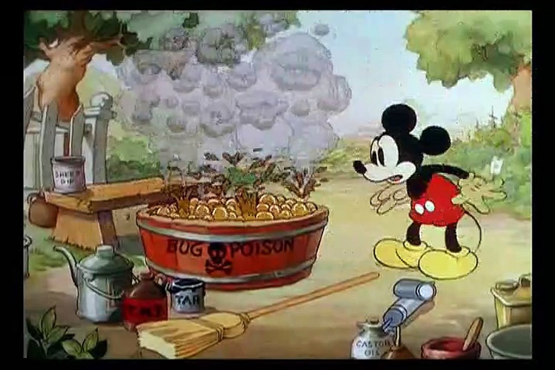 Mickey's Garden