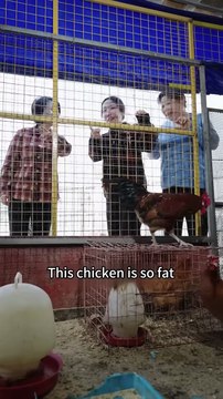 Poor Single Mom Saved Kidnapped Baby! Unexpectedly, He’s CEO's Son! Millions Rewarded Her Kindness!