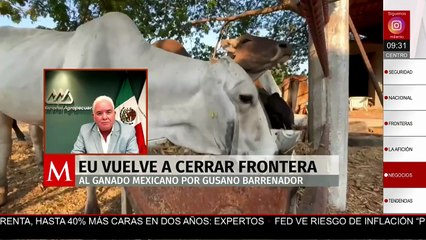 CNA califica de unilateral e injusto el cierre fronterizo por gusano barrenador