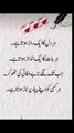 Urdu poetry video ❤️🥀#poetry#shorts #quotes#urdupoetry #deeplines