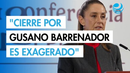 Sheinbaum tacha de "exagerado" el cierre de EU al ganado mexicano por gusano barrenador