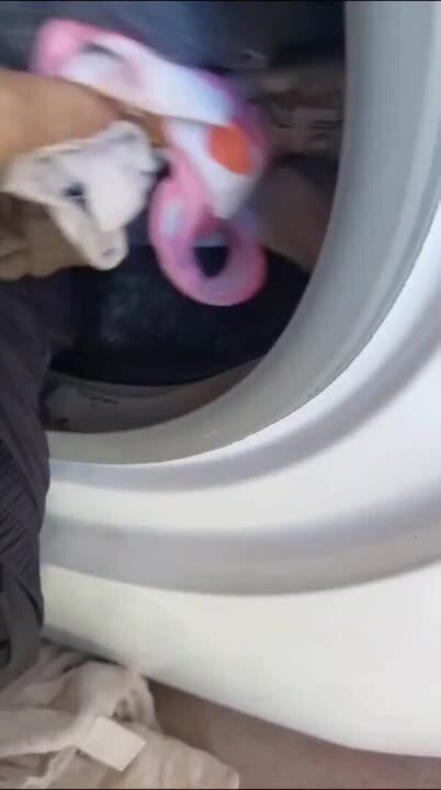 Dog Hides Inside Loaded Washing Machine to Take Nap