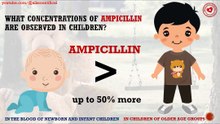 What concentrations of ampicillin are observed in children?