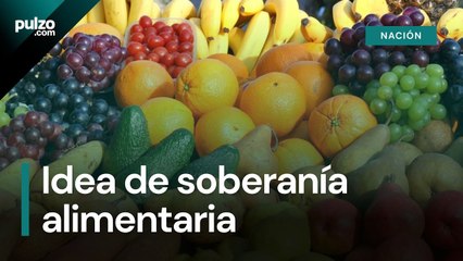 Gobernador del Casanare explica propuesta para potenciar la producción de alimentos _ Pulzo