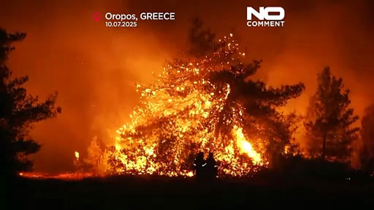 Nächtliche Löscharbeiten halten Brände in Griechenland unter Kontrolle