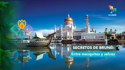 Secretos de Brunéi: entre Mezquitas y Selvas