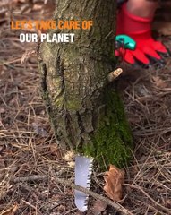 Learn to remove tree stump and heal hollows!