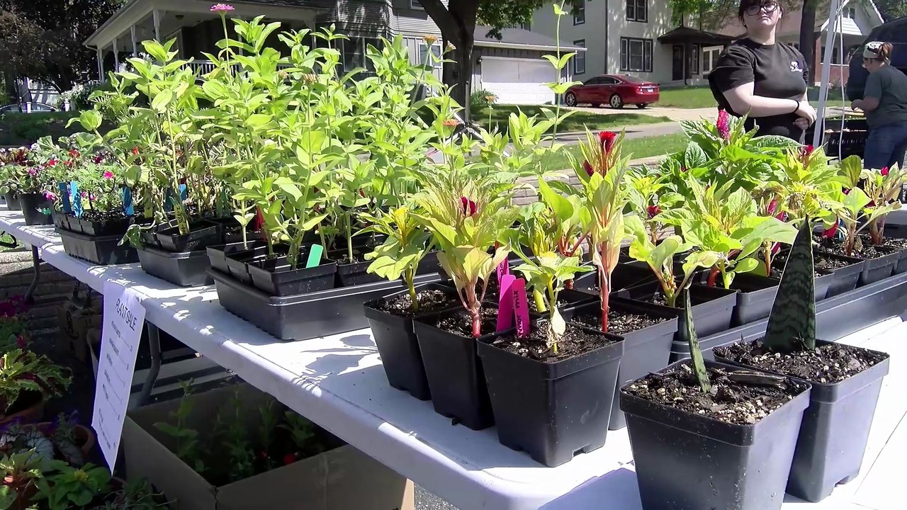 May 10 2025  Dixon IL FFA Cookout at Oliver' Corner Market Dixon IL