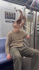 Don't sleep on the train, you might catch something