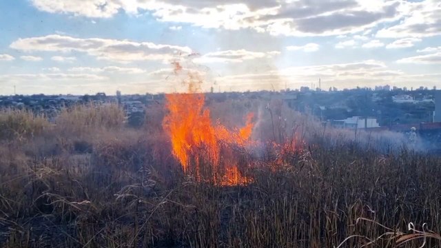 Bombeiros combatem incêndio em grande área de vegetação no Cascavel Velho