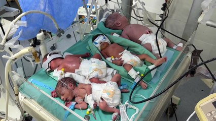 "인큐베이터 하나에 신생아 넷"...가자지구 극한 인도적 위기 / YTN