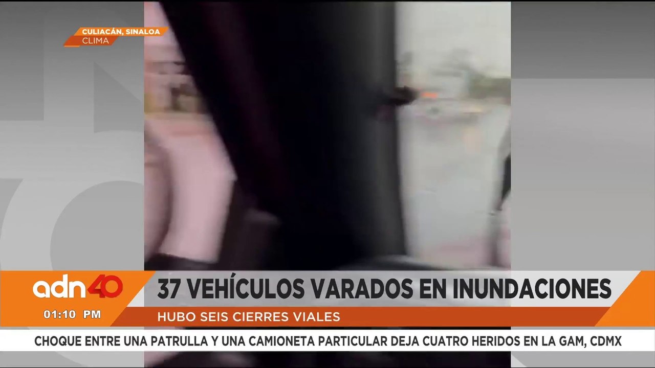 Buscan cocodrilos tras el desbordamiento del rió Tamesí en Tampico, Tamaulipas