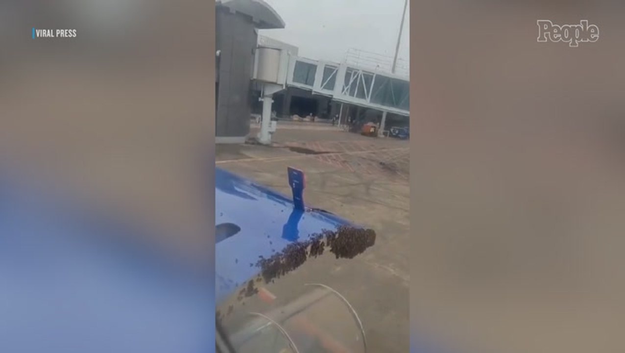 Swarm of Thousands of Bees Manages to Delay Flight For Nearly an Hour