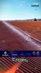 Rescatan a menor boliviana explotada en Chile