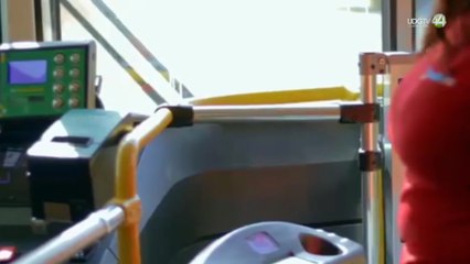 Desafíos y planes del transporte público en Puerto Vallarta