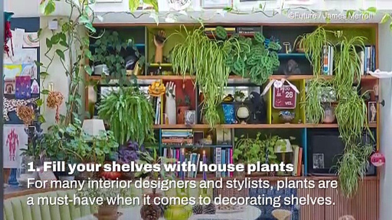 Decorating With Plants