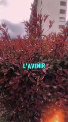 #motivation #BR3 #success #conseil #leçon (23)