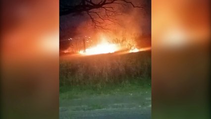 Incêndio consome vegetação na Avenida Corbélia