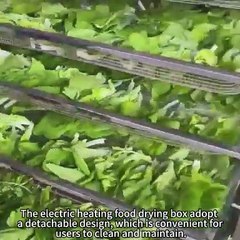 The electric heating food drying box