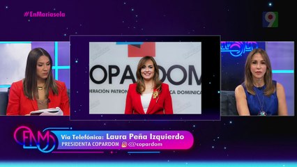 COPARDOM alerta sobre riesgos de la reforma laboral | ENM