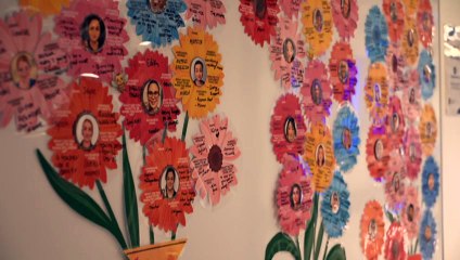 Safewards model of care pilot reduced violence in hospitals — to be rolled out across ACT