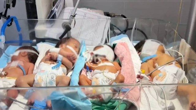 Desgarrador panorama en Gaza: bebés recién nacidos comparten incubadoras para sobrevivir