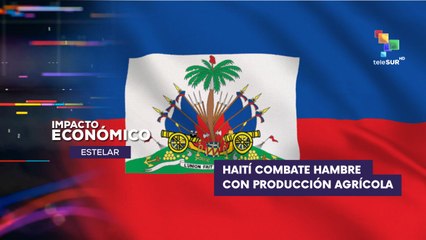 Haití enfrenta el hambre promoviendo la producción agrícola y la soberanía alimentaria IMPACTO ECONÓMICO ESTELAR 10-07-2025