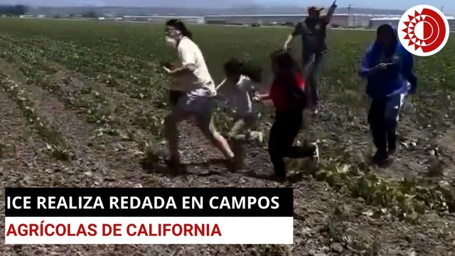 Nuevas redadas en Ventura, California; chocan agentes con defensores de migrantes