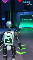 Can AI be held legally responsible for its actions?