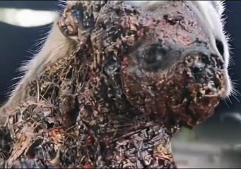 Hyena sculpture comes to life!
