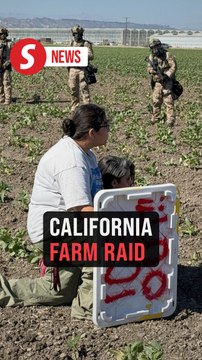 Protestors and immigration officers clash during federal raid at California farm