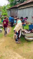 stealing fish🙀🤣🤣 #funny #funnyclip #vairalvideo