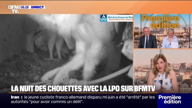 LES NUITS DE LA CHOUETTE - Clap de fin après trois mois à suivre les aventures de ces jeunes chouettes