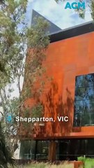 Big Pear battle: Australia's quirky roadside attraction rivalry!