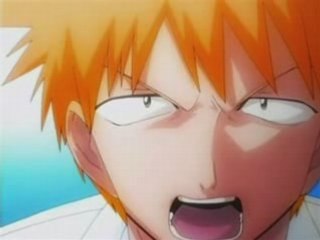 [Bleach Parody] コン＋ロム？！