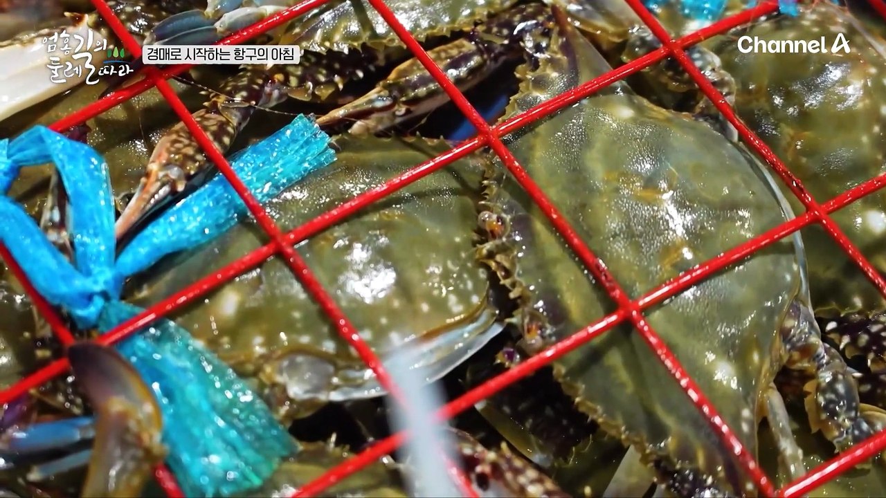 서해 하면 꽃게! 그런데 어획량이 많이 줄었다? 인천 상인들에게 듣는 수산 이야기