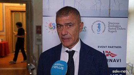 Rinnovabili, Pecoraro: da Sicilia grande contributo innovazione
