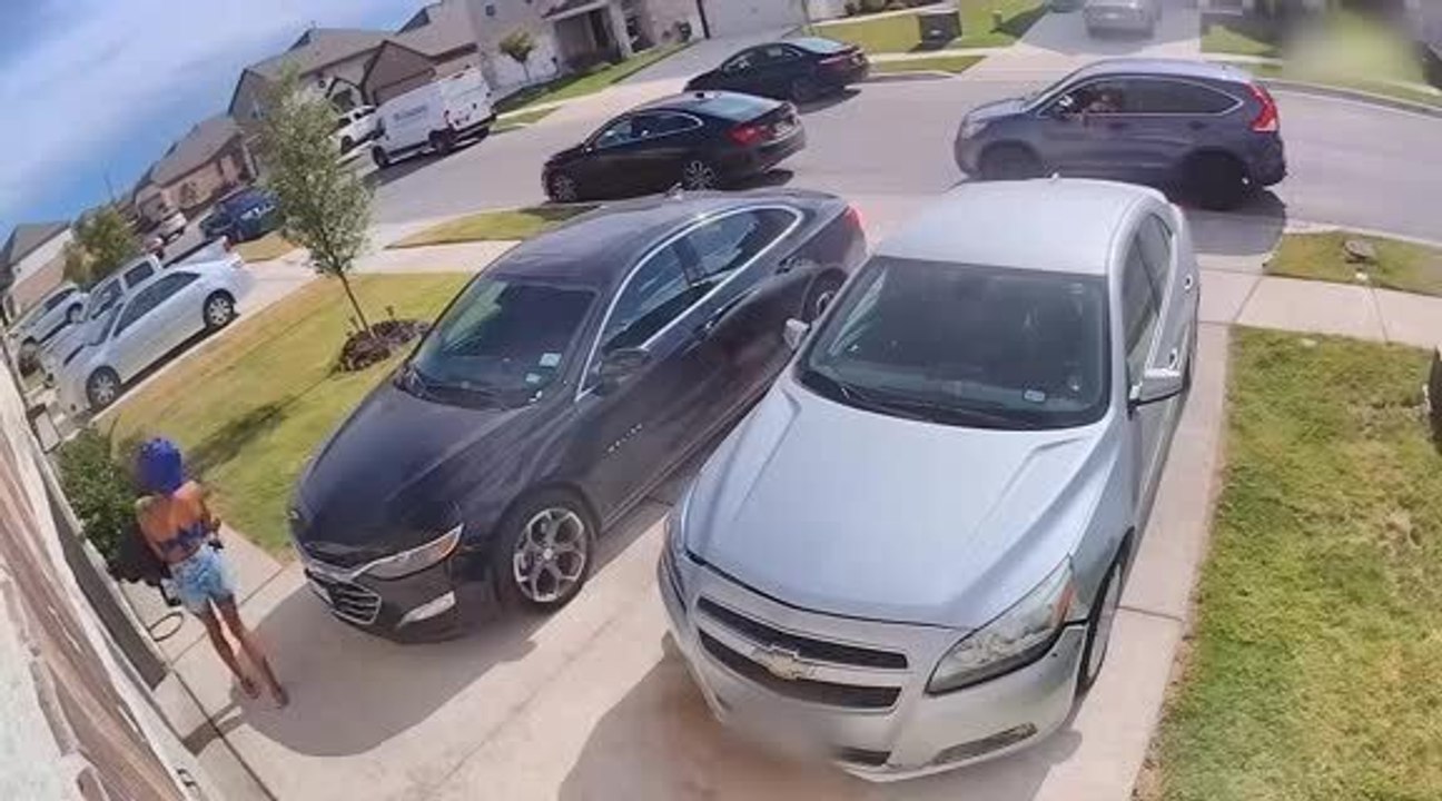 Woman Scared of Dog Screams and Runs Around Car With Baby