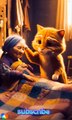 Cats 🐈 helps old lady trending  short